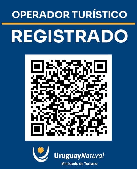 Inmobiliaria Registrada N° 2152 - Martina Álvarez Real Estate